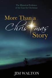 Cover_More-Than-a-Christmas-Story